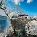 Dome Glamping