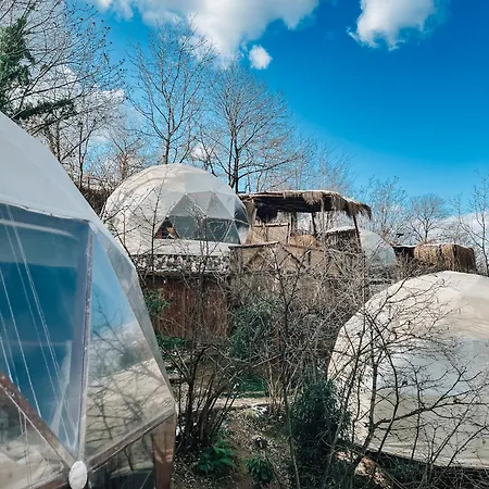 Dome Glamping