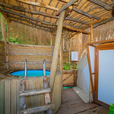 Bed & Breakfast Dome Glamping *