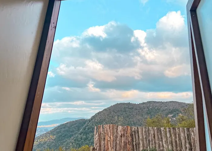 Dome Glamping 度假居