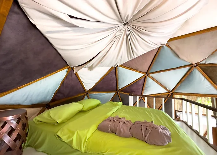 Dome Glamping 度假居